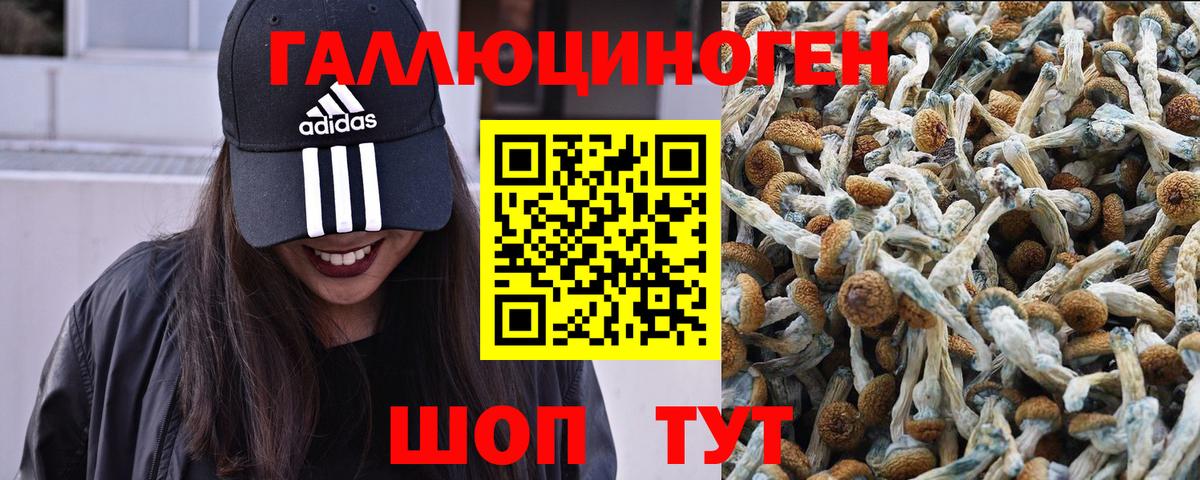 Галлюциногенные грибы Magic Shrooms Липецк