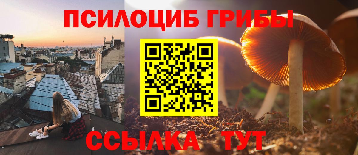 Липецк  Псилоцибиновые грибы мухоморы  Вход с VPN 