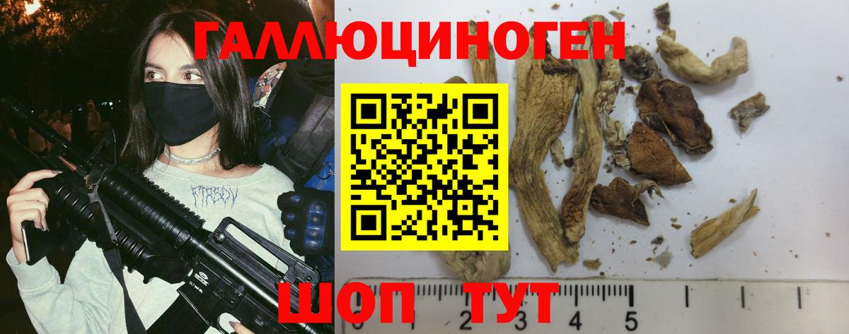 Псилоцибиновые грибы GOLDEN TEACHER  Липецк  Псилоцибиновые грибы мицелий 